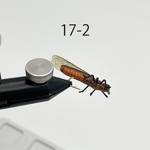 Stonefly Collector's Edition ストーンフライ Stonefly Collector's Edition ストーンフライ Stonefly