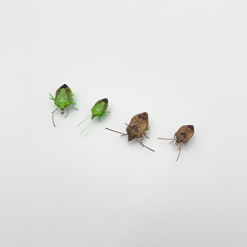 Vania �ե�����ե饤������ॷ