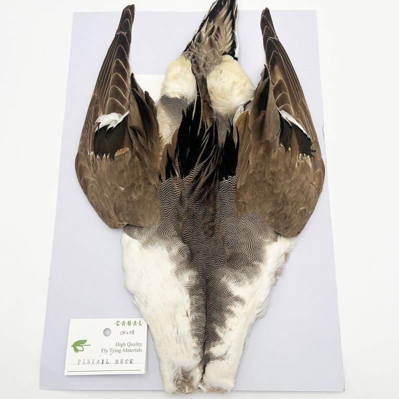 CANALҡԥơ롦ץ꡼ȥ(ʥ) [CN205]