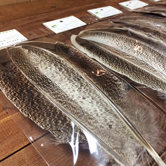 CANAL�ҡ��������������롦�֥饦�󥹥ڥå���ɡ�SA���졼�ɡ�