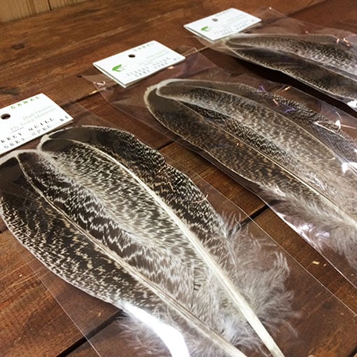 CANAL�ҡ��������������롡���졼���ڥå���ɡ�1���졼�ɡ�