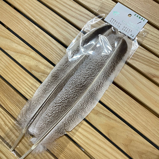 CANAL�ҡ��������������롦����С����ڥå���ɡ�SA���졼�ɡ�