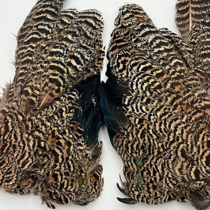 CANAL�ҡ��ԡ����å���������������[CN 01]