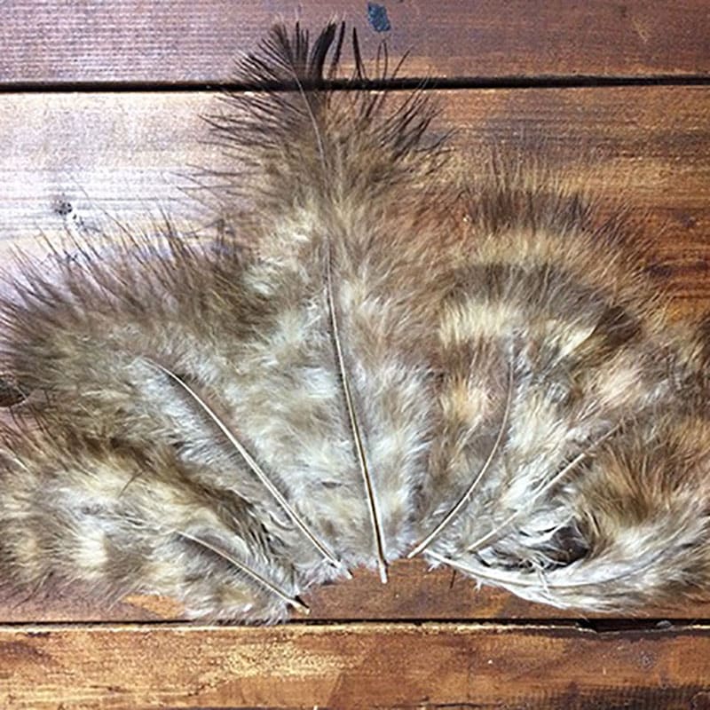 ��ȥ�ɡ����������ޥ�֡� [KC66]