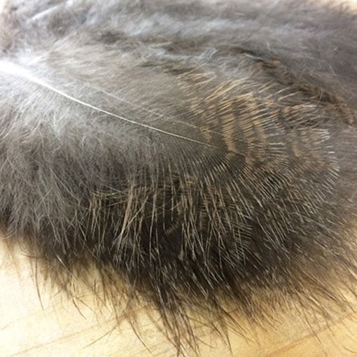 CANALҡԡإޥ֡ѥå[CN156]