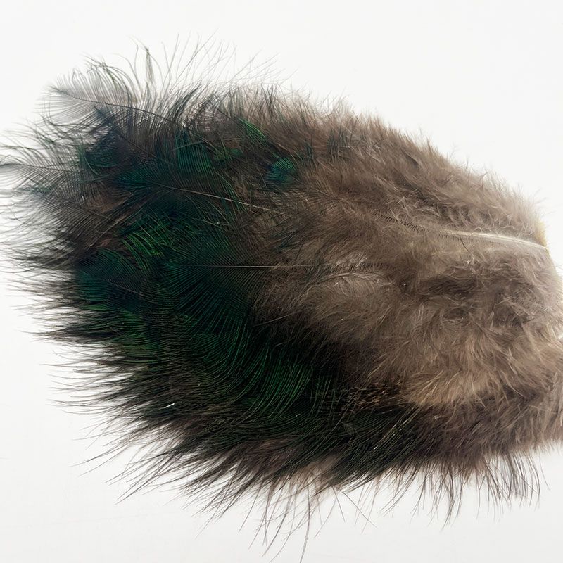 CANAL ԡåޥ֡ѥå CN179