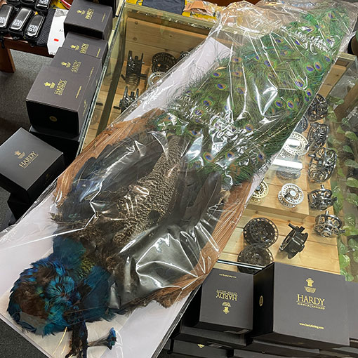 CANALҡԡåץ꡼ȥʶ˾L