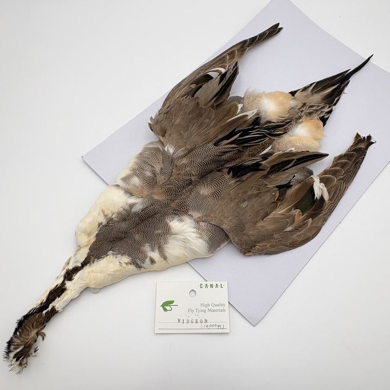 CANAL�ҡ���������󡦥���ץ꡼�ȥ������16,000�ߡ�