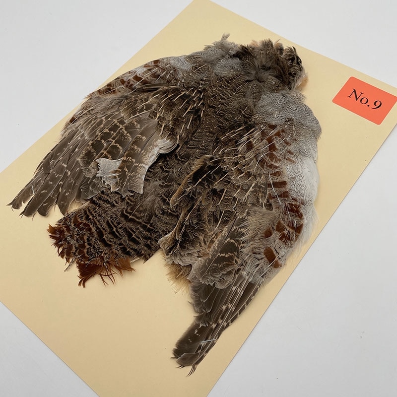 �ϥ󥬥ꥢ��ѡ��ȥ�å�������ץ꡼�ȥ����� NO.9