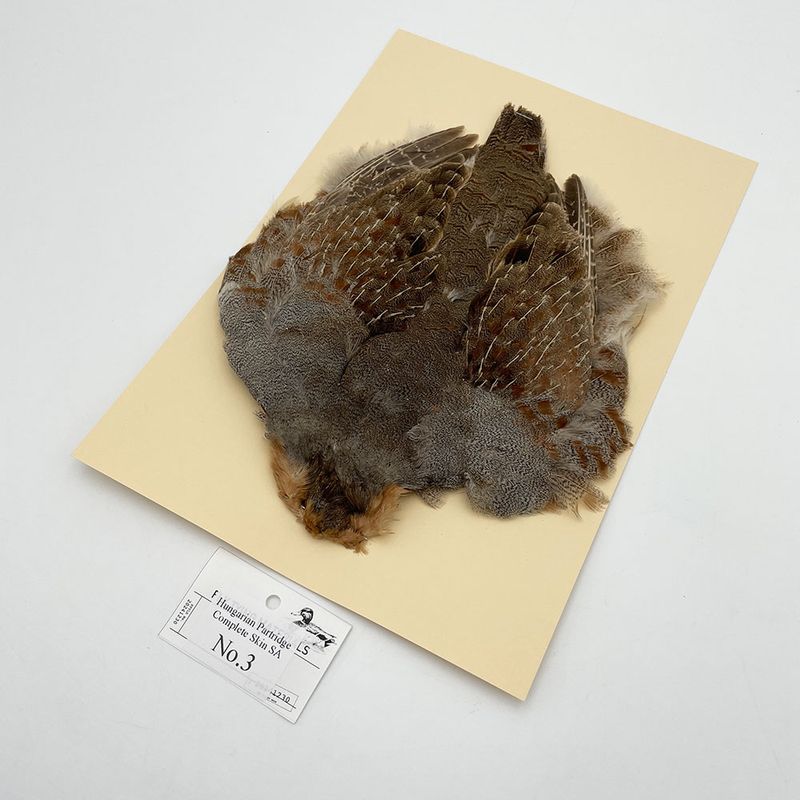 �ϥ󥬥ꥢ��ѡ��ȥ�å�������ץ꡼�ȥ����� SA NO.3