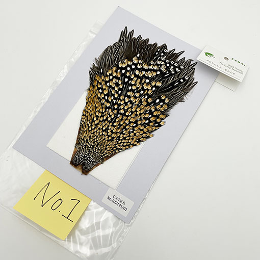 フライマテリアル ジャングルコック 詳細不明 現状渡し品 釣り