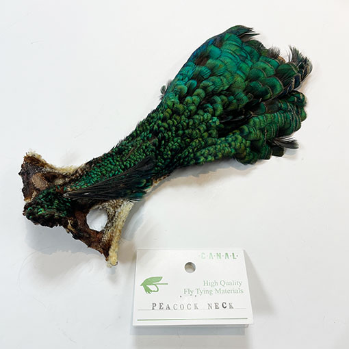 CANAL�ҡ��ԡ����å��ͥå�