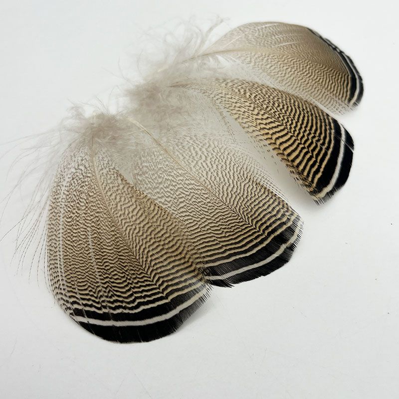 CANALҡСɥåɥåե[CN233]