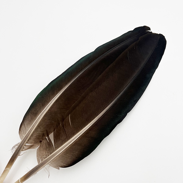 CANAL�ҡ��ԡ����å������� �֥�å���[CN45 001]