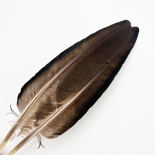 CANAL�ҡ��ԡ����å������롡�֥�å���S����CN45 002��