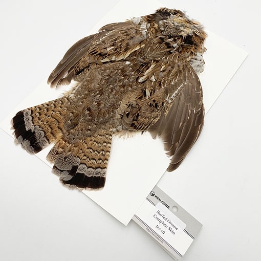 ��եɥ��饦�������󡡡�RG 02��