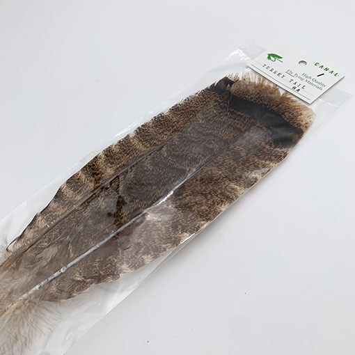 CANALҡۥ磻ȥƥåסơ롡SA