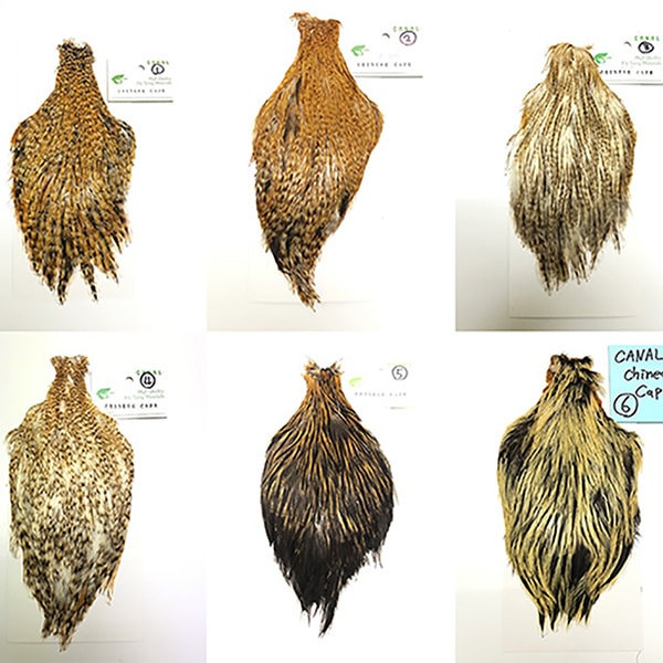 CANAL�ҡ����㥤�ˡ��������סʳƼ��