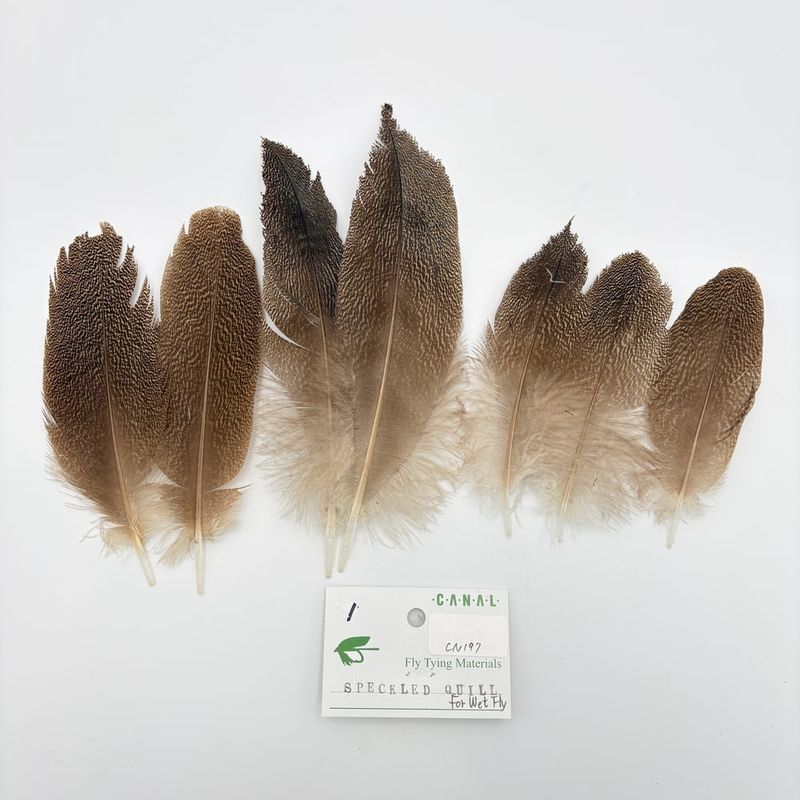 CANAL�ҡ����ڥå���ɥե�����ȡ�������