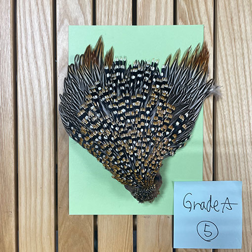 ジャングルコック センパーフライ シンセティックジャングルコック | TIEMCOフライ