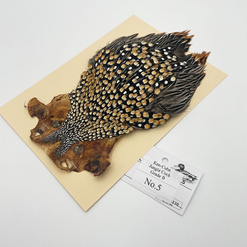 Ken-Cube 󥰥륳å Grade BNo.5