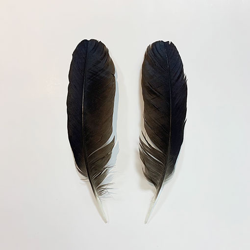 ������������