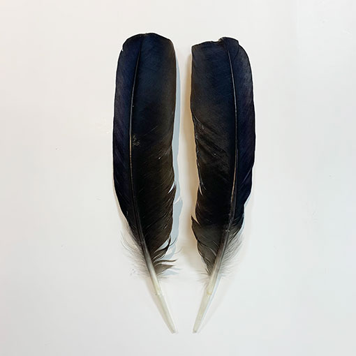 �������ơ���