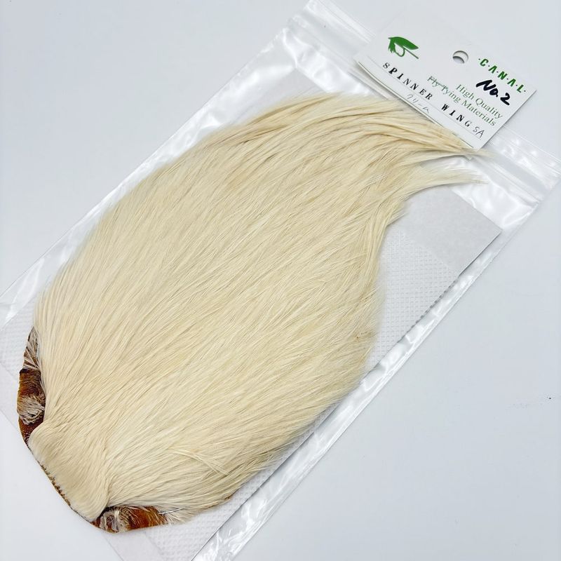 CANALҡԥʡ SA ꡼ࡡNo.2