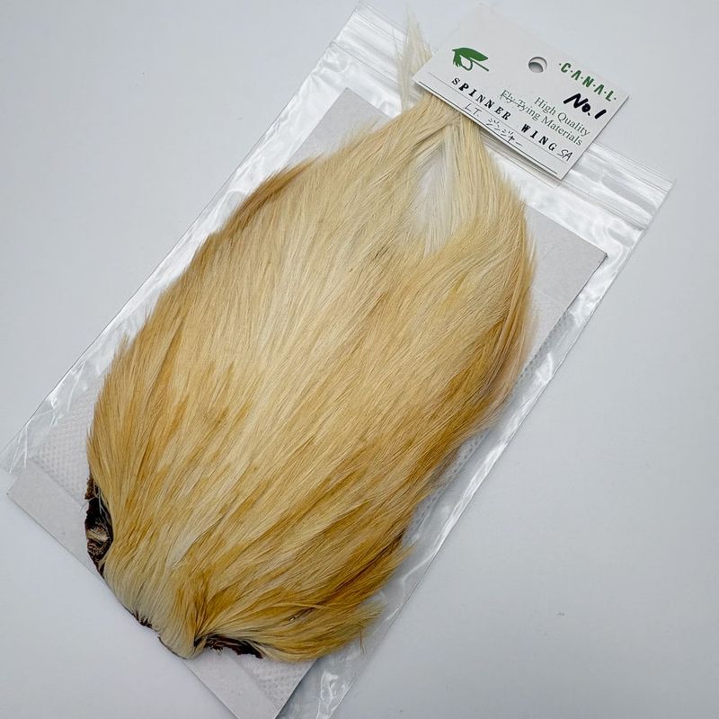 CANAL�ҡ����ԥʡ������� LT.���󥸥㡼��SA��No.1