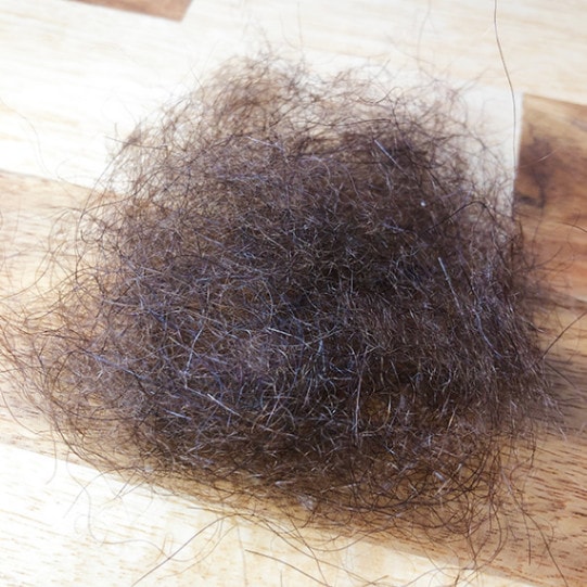 �ҥ��� ���� �ʥʥ�����֥饦���KC01