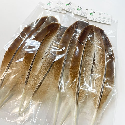 CANAL�ҡ���������������ʥ��ʥ��˥��졼�ɡ�3