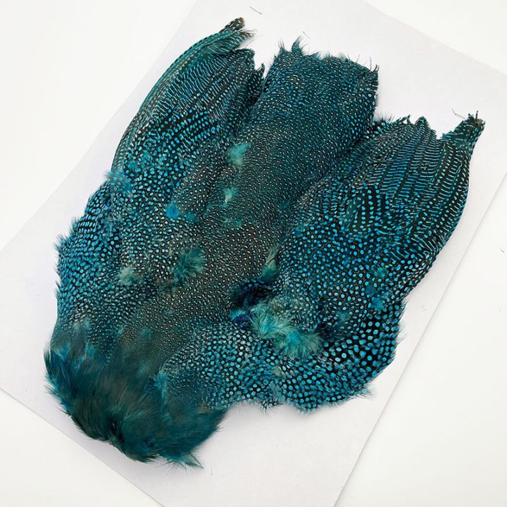 CANAL�ҡ����˥�������ץ꡼�ȥ�����ʥ֥롼��