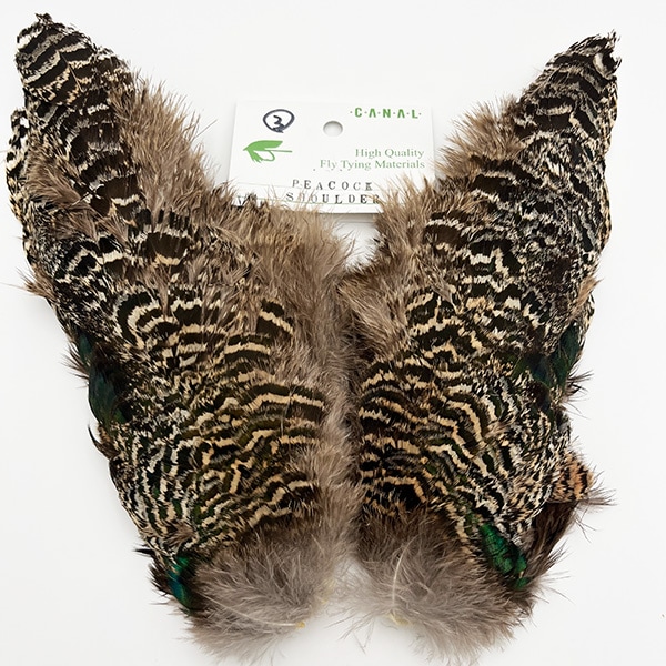 CANAL�ҡ��ԡ����å�����������3