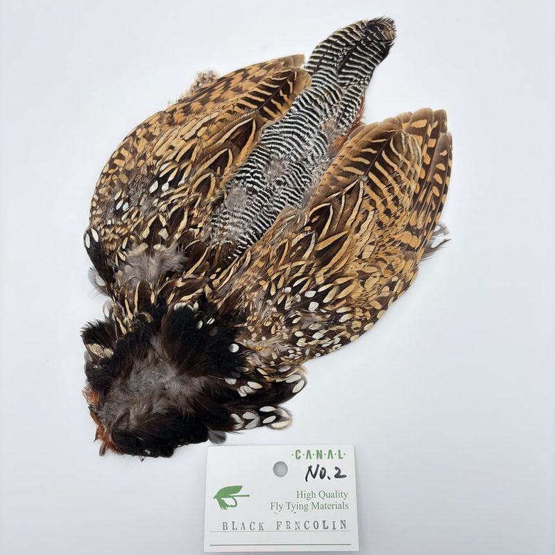 CANAL�ҡ��֥�å��ե�󥳥�󡦥���ץ꡼�ȡ�CN90�� No.2