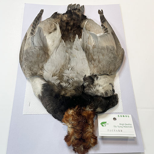 CANALҡPOCHARD ץ꡼ȥʥۥϥ