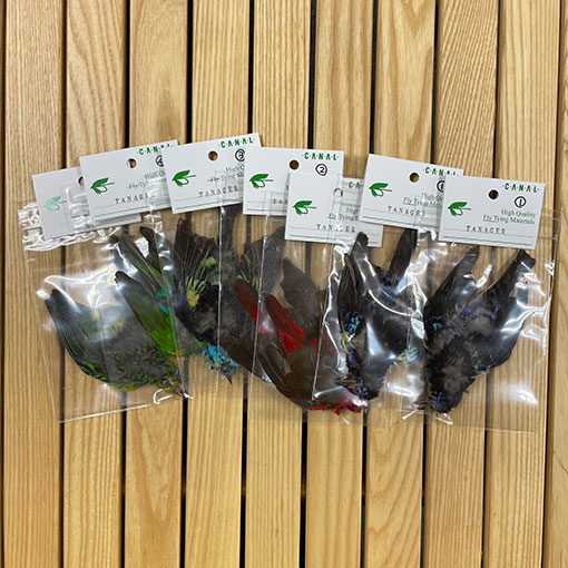 CANAL�����ʥ���