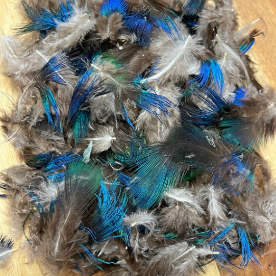 KEN-CUBE ԡå֥롼ͥå4gѥå [PB4]