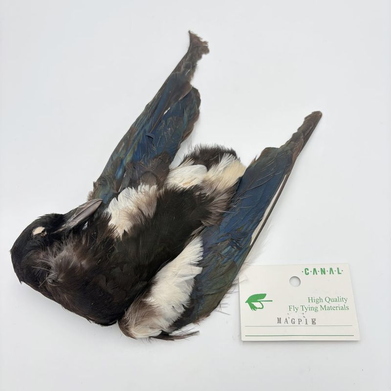 CANAL�ҡ��ޥ��ѥ�������ץ꡼�ȥ�����(�ơ���̵����