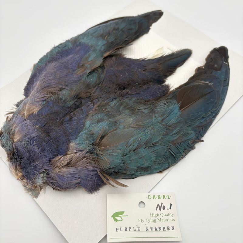 CANAL�ҡ��ѡ��ץ륹���إ�No.1