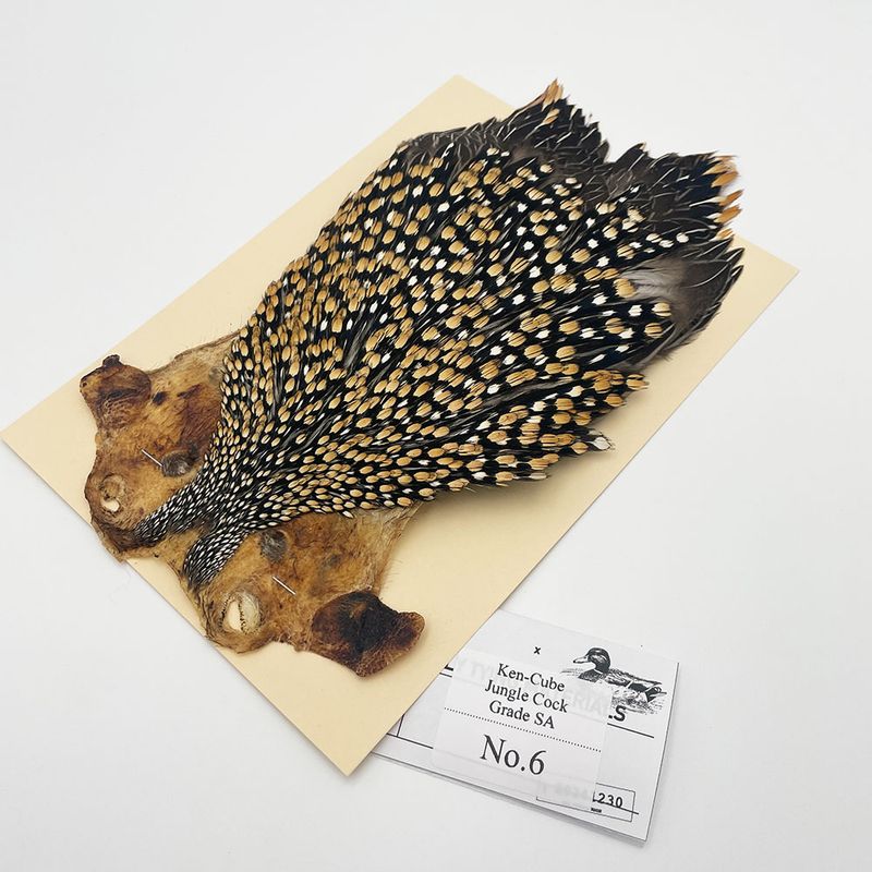 新品　ジャングルコック　フライマテリアル IWK_2932_1692598891604_1200.JPG