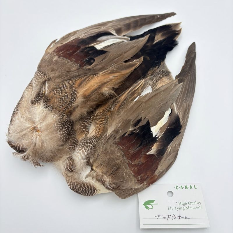 CANAL�ҡ����åɥ������륳��ץ꡼�ȥ�����