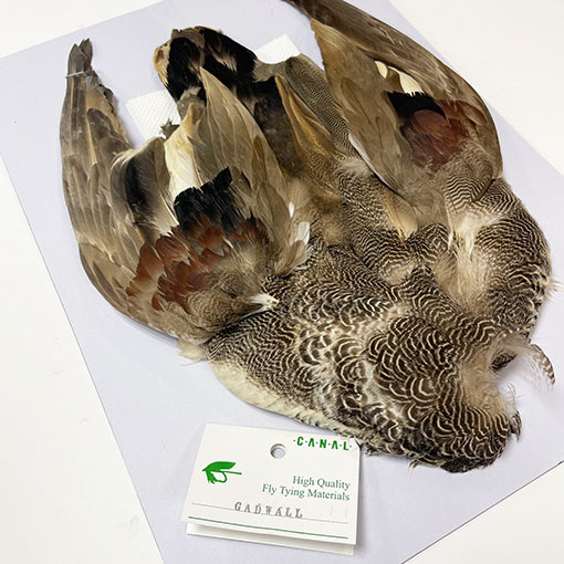 CANALҡåɥ륳ץ꡼ȥ