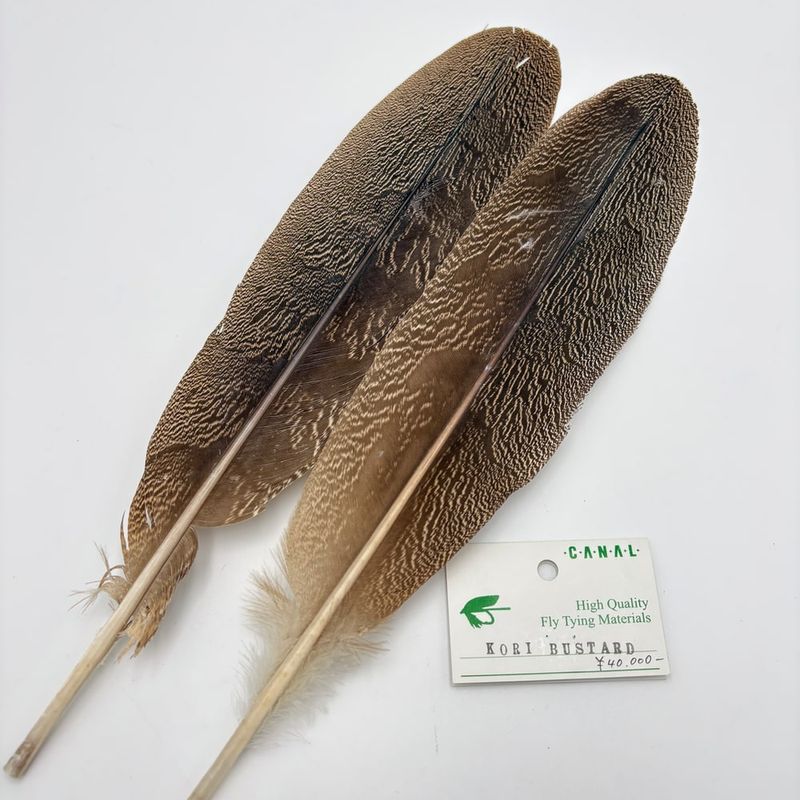 CANAL�ҡ������꡼�Х������ɥ������40,000�ߡ�