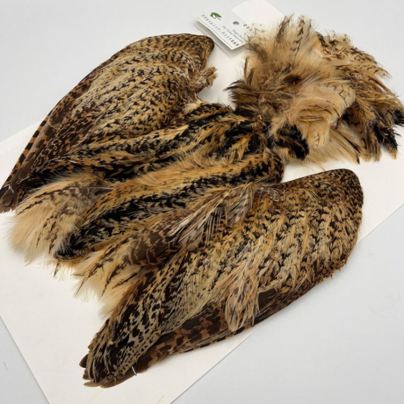 CANAL�ҡ��桼�饷����ӥ�����