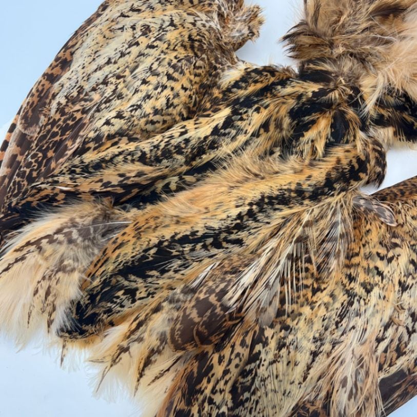 CANAL社 ユーラシアンビターン