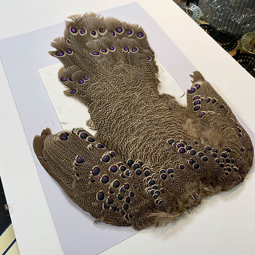 CANALҡ졼ԡåեȡץ꡼ȥ