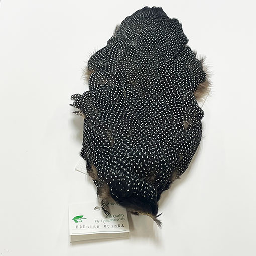 CANAL�ҡ����쥹�ƥåɥ��˥��ܥǥ�