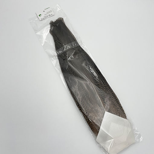 CANALҡԡå ץ꡼ȥơ