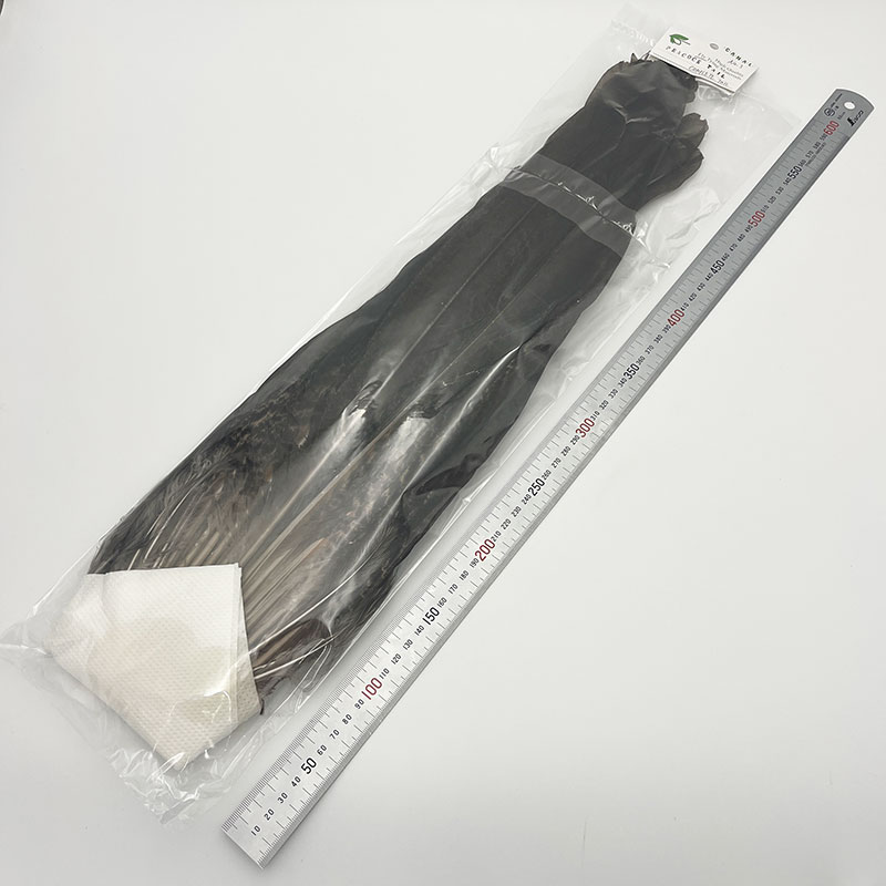 CANAL�ҡ��ԡ����å� ����ץ꡼�ȥơ��� No.1