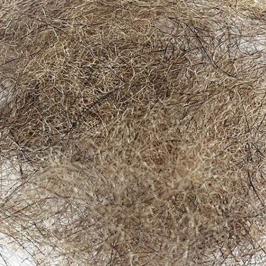 �ĥ��Υ���� �ʥ֥饦���KC01